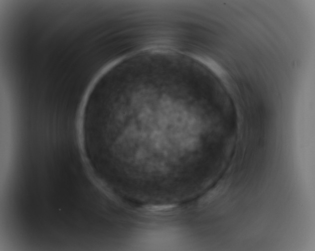 X0000093150864200710031426