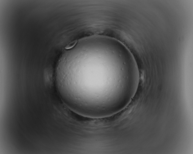 X0000093150867200710031426
