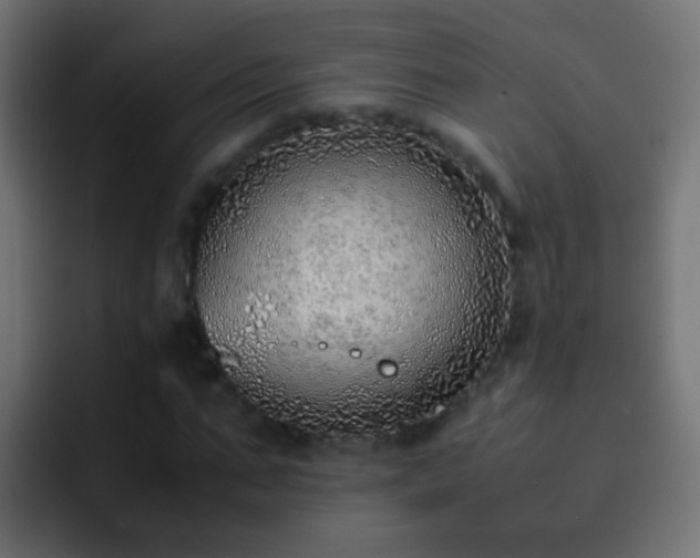 X0000093150871200710031426