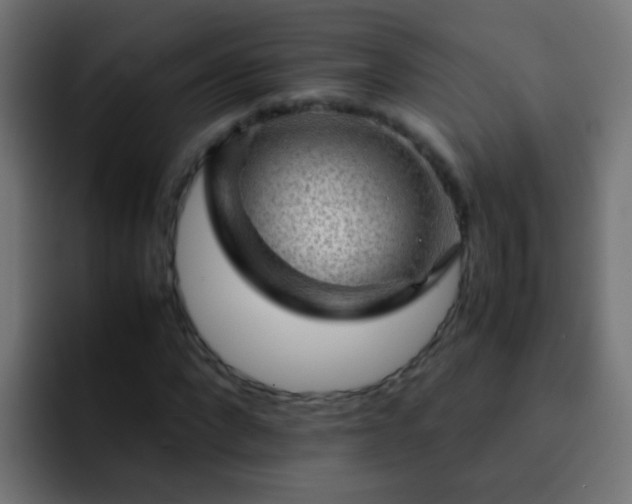 X0000093150872200710031426