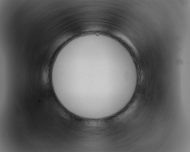 X0000093150874200710031426