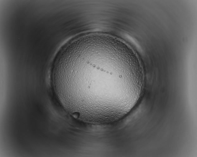 X0000093150875200710031426