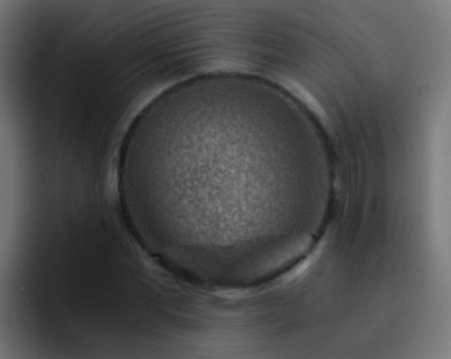X0000093150877200710031426