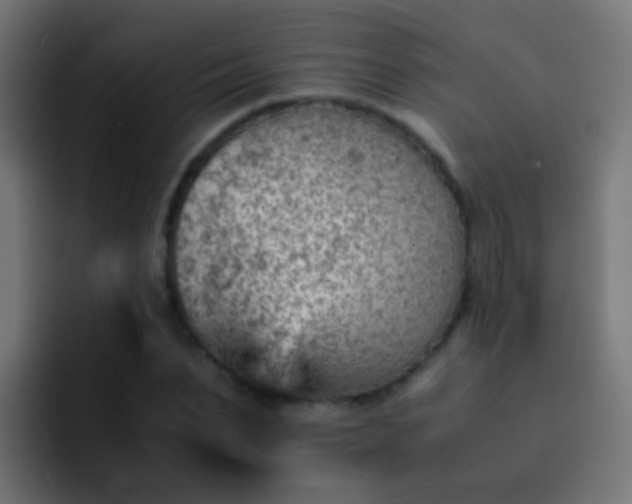 X0000093150879200710031426
