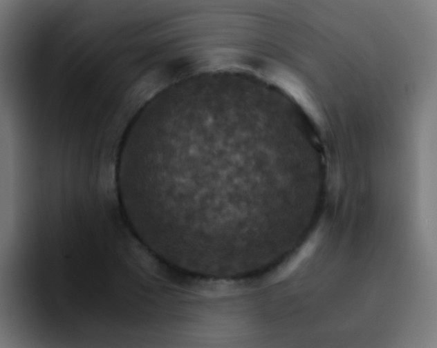 X0000093150881200710031426