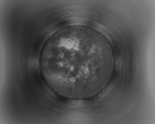 X0000093150882200710031426