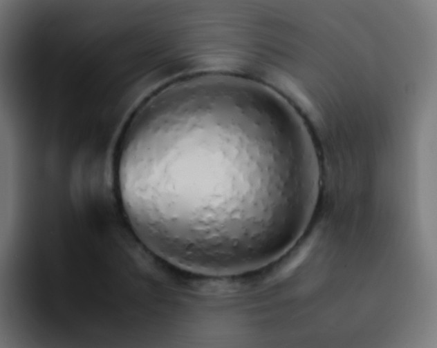 X0000093150883200710031426