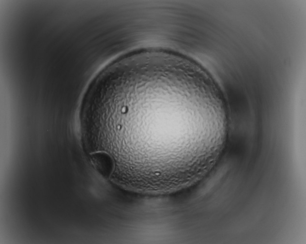 X0000093150887200710031426