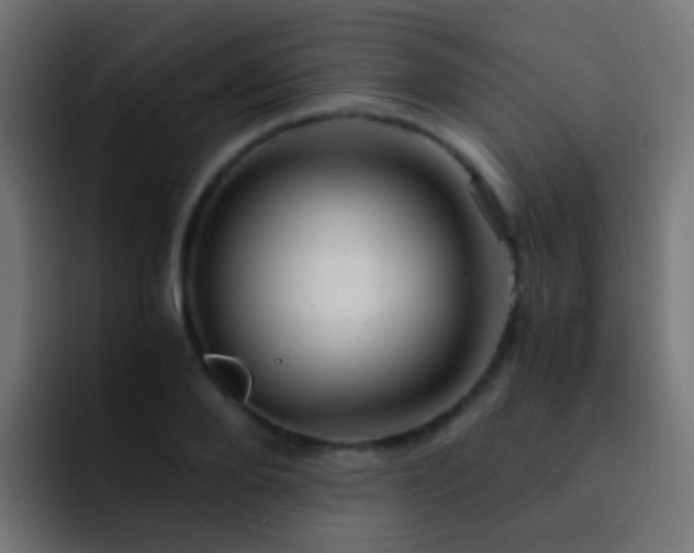 X0000093150888200710031426