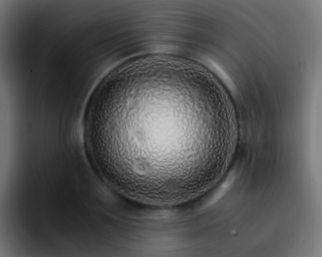 X0000093150891200710031426