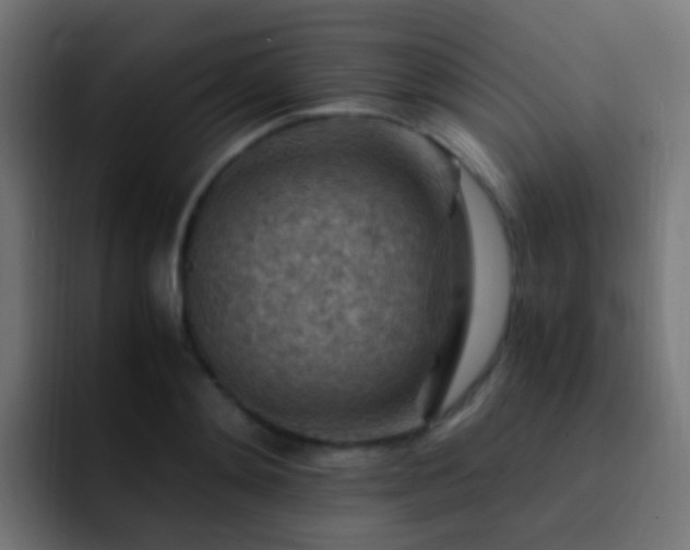 X0000093150892200710031426