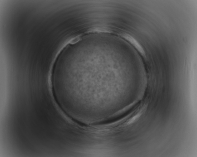 X0000093150893200710031426