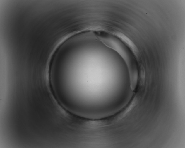 X0000093150894200710031426