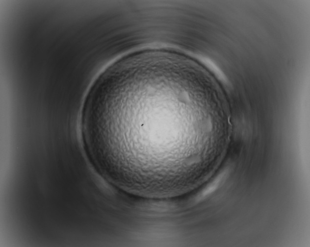 X0000093150895200710031426