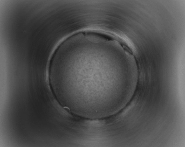 X0000093150896200710031426
