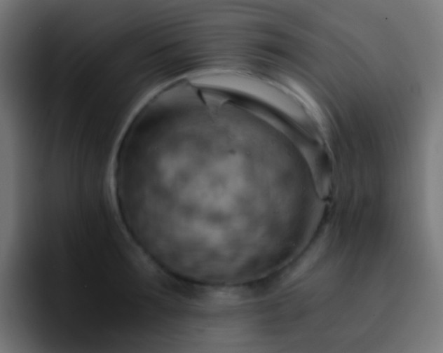 X0000093150899200710031426