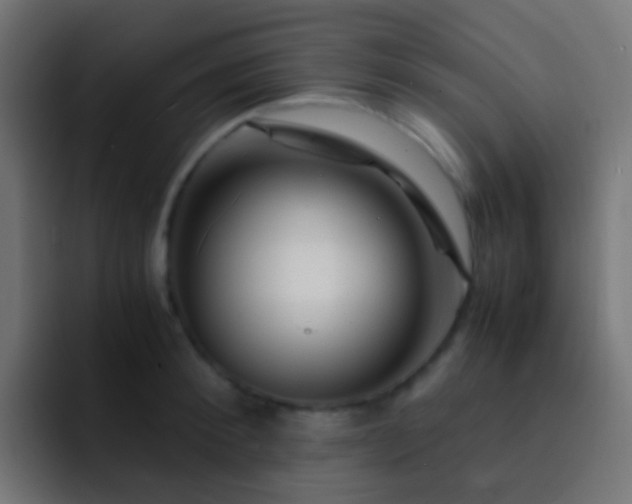 X0000093150900200710031426