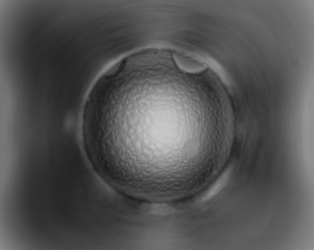 X0000093150903200710031425