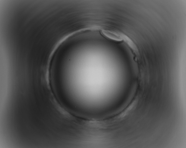 X0000093150904200710031425