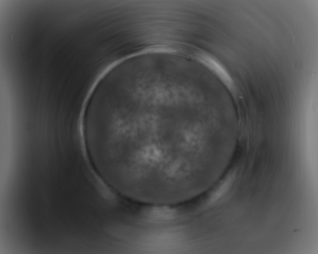 X0000093150907200710031425