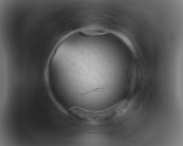 X0000093150911200710031425