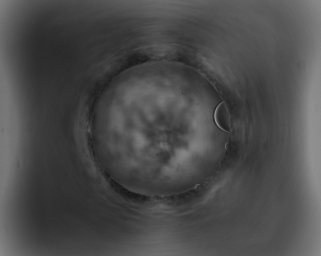 X0000093150913200710031425