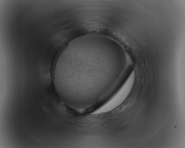 X0000093150916200710031425