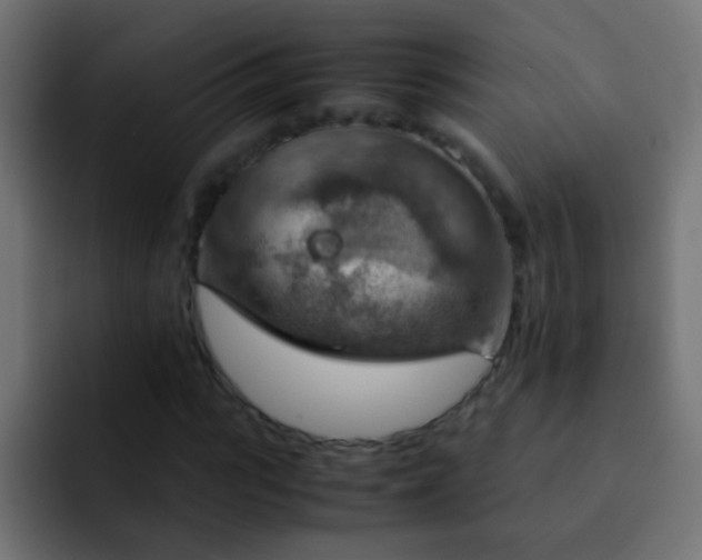 X0000093150919200710031425