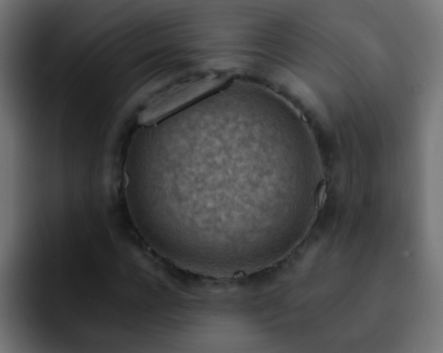 X0000093150920200710031425