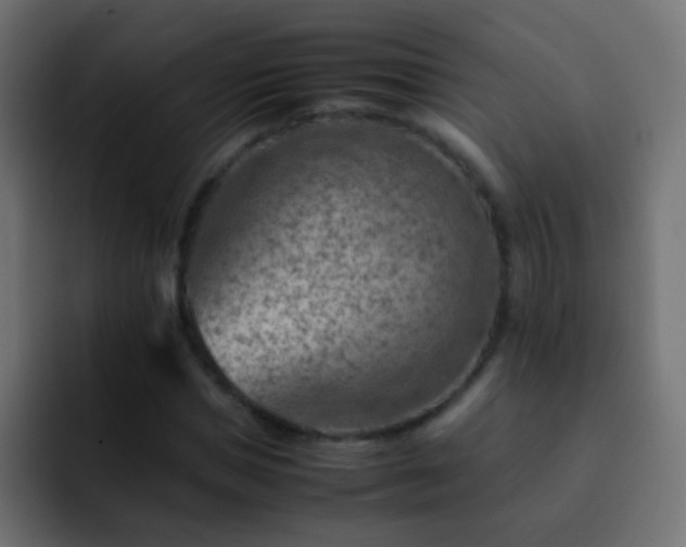 X0000093150921200710031425