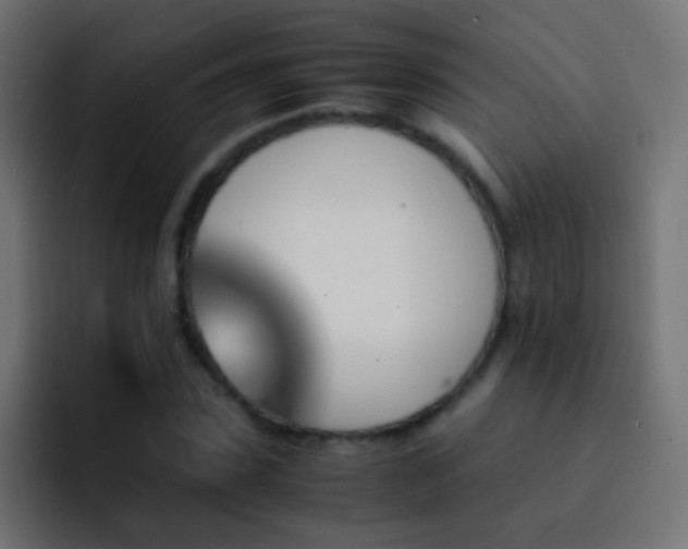 X0000093150923200710031425