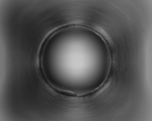X0000093150924200710031425