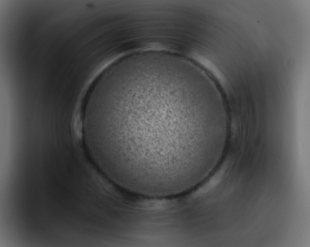X0000093150925200710031425