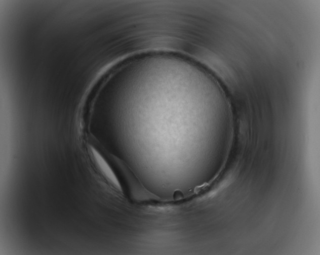 X0000093150926200710031425