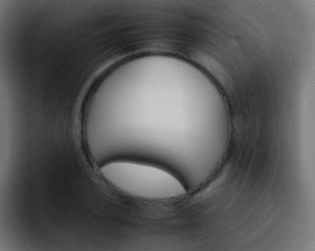 X0000093150931200710031425