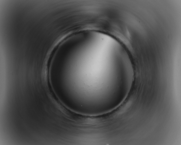 X0000093150933200710031425