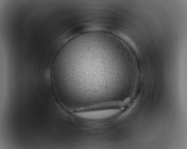 X0000093150937200710031425