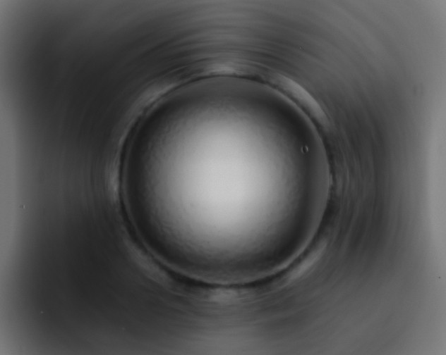 X0000093150938200710031425