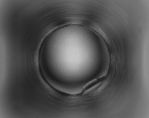 X0000093150939200710031425