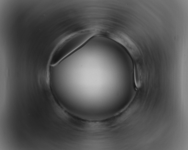 X0000093150940200710031425