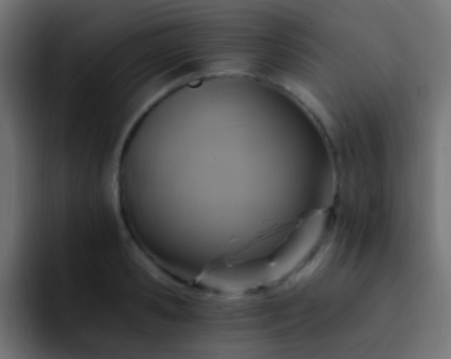 X0000093150941200710031425