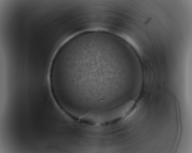 X0000093150943200710031425