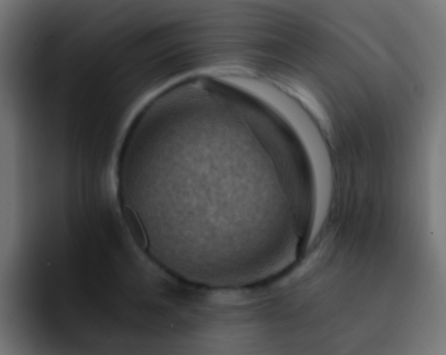 X0000093150944200710031425