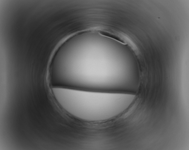 X0000093150948200710031425