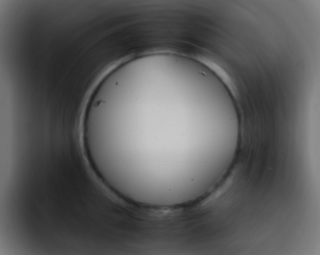 X0000093150949200710031425