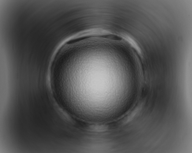 X0000093150952200710031425