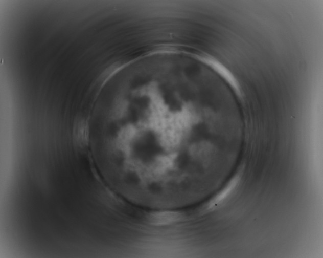 X0000093150953200710031425