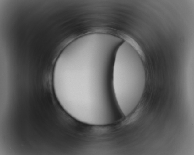 X0000093150954200710031425