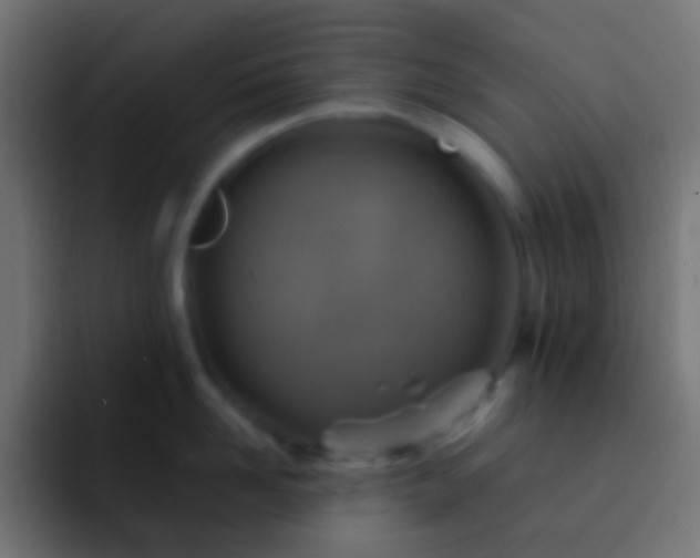 X0000093150958200710031425