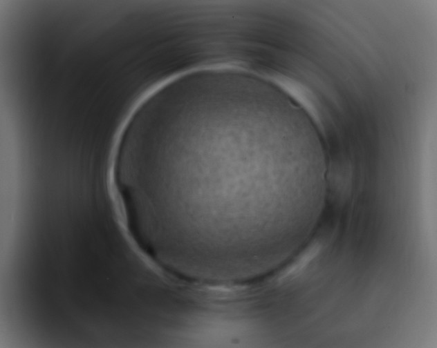 X0000093150959200710031425